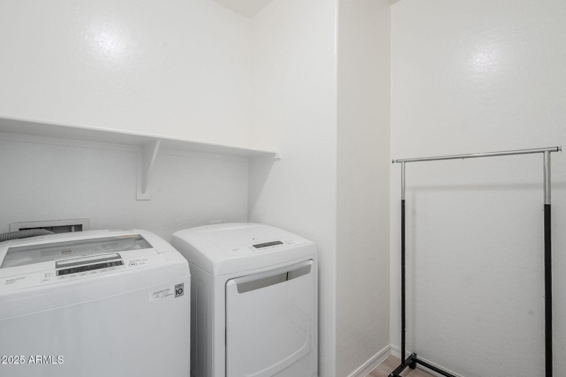 38-web-or-mls-Seagull-38