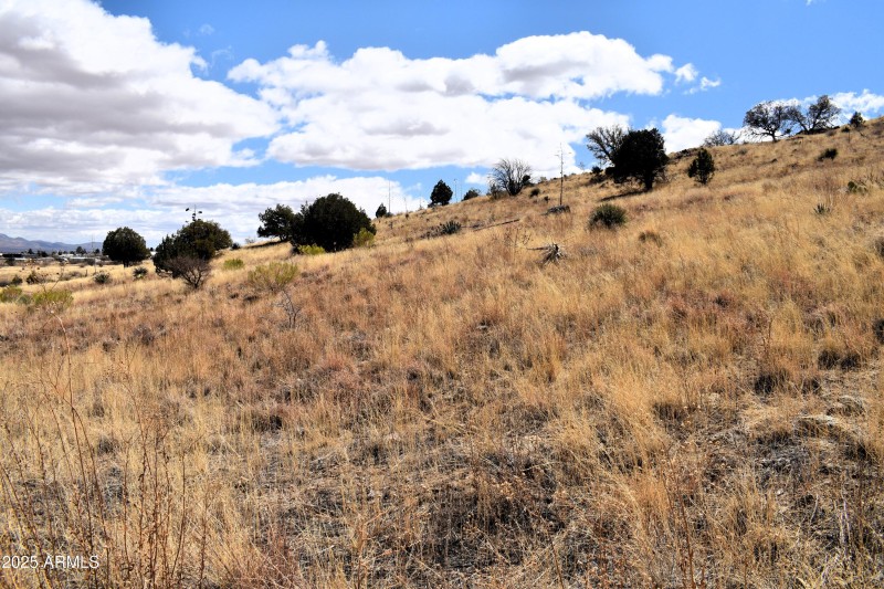 Hillside view
