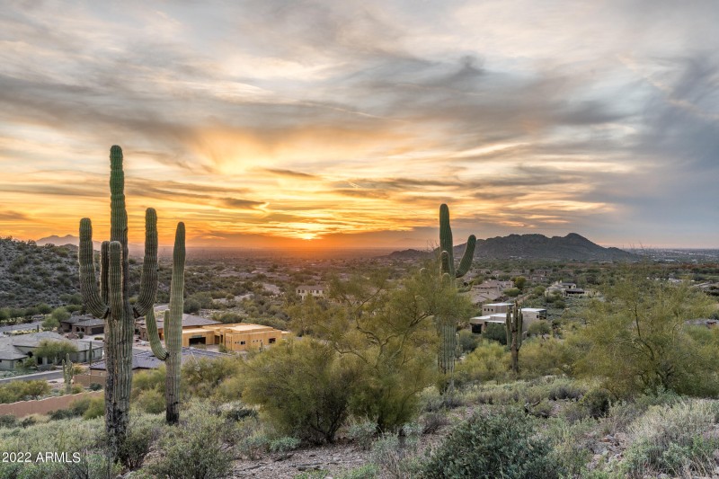 Pure Arizona