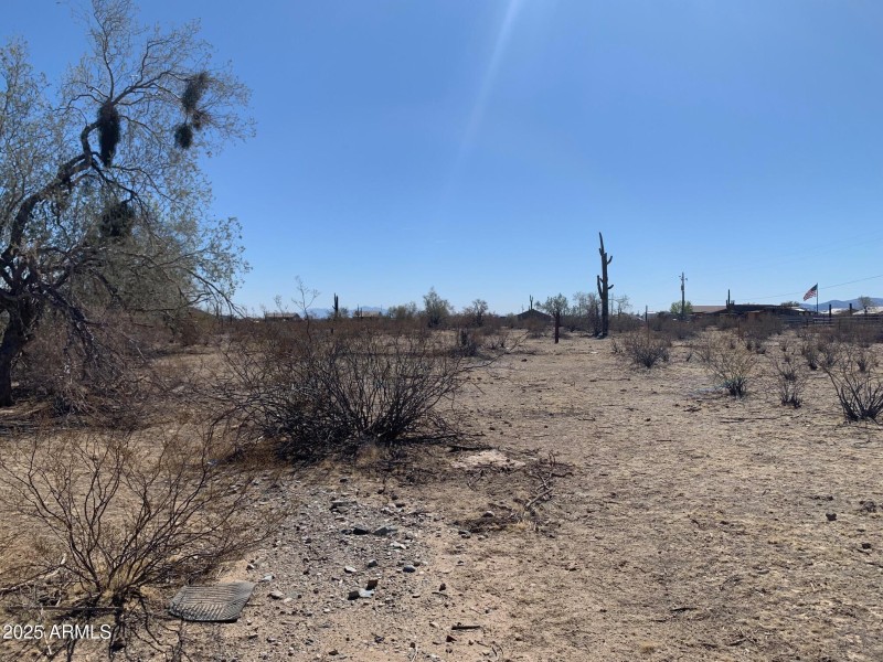 Property Line South