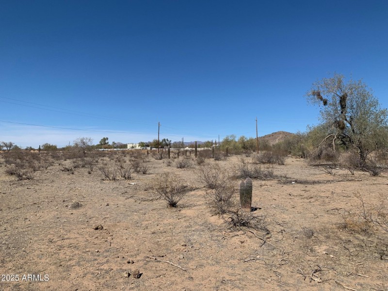 Property Line North