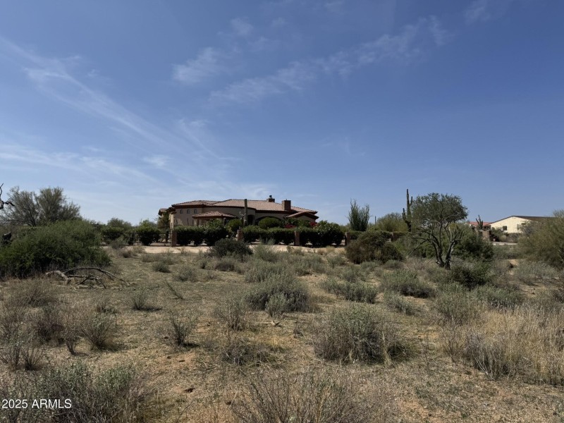 Natural Desert Vegetation
