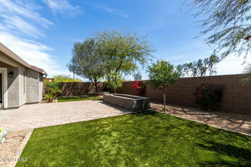 Backyard View
