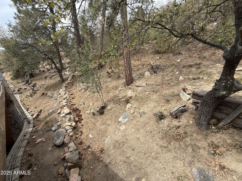 Terraced hillside