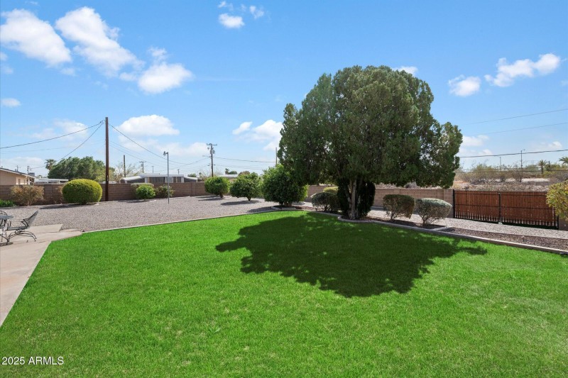 Large backyard