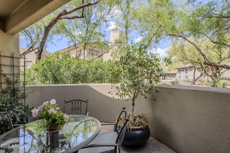 Patio view