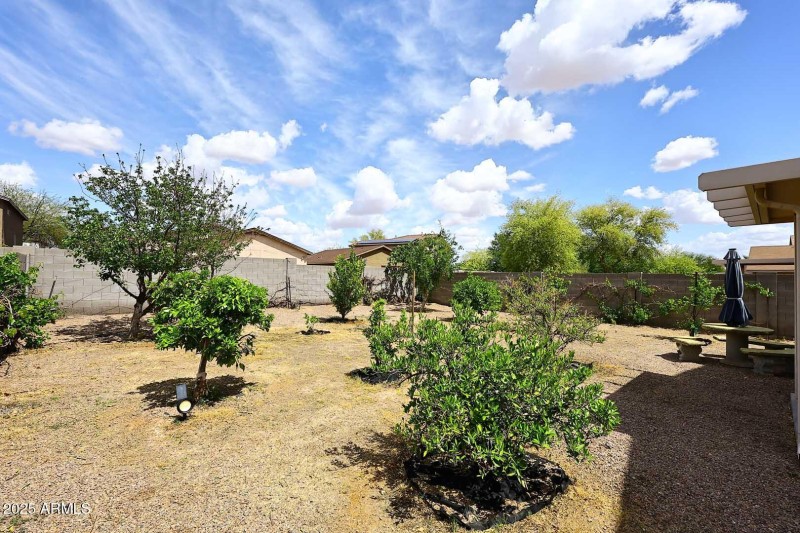 Backyard