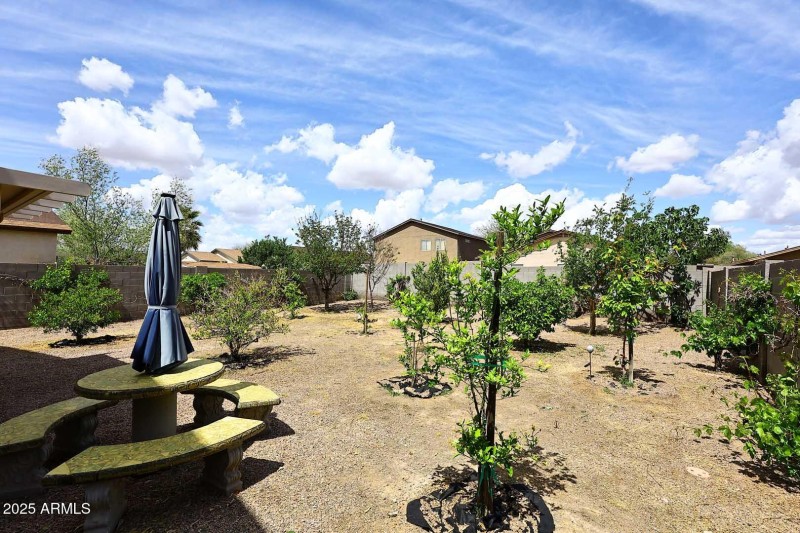 Backyard2