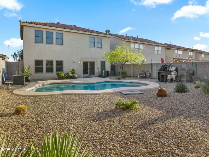 back yard