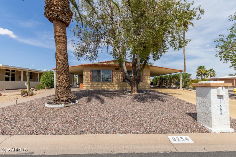 01 - Cactus Lane 9254