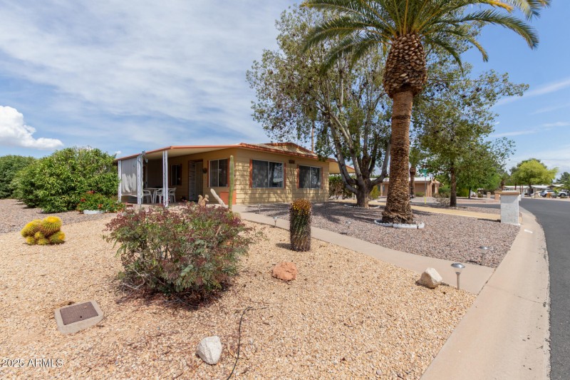 03 - Cactus Lane 9254