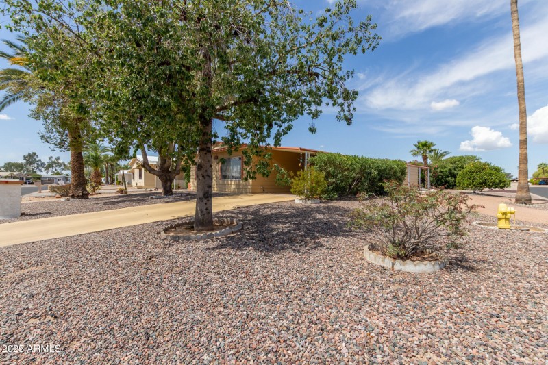 05 - Cactus Lane 9254