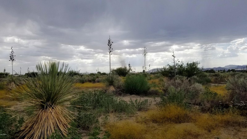 20200813_160257(0)