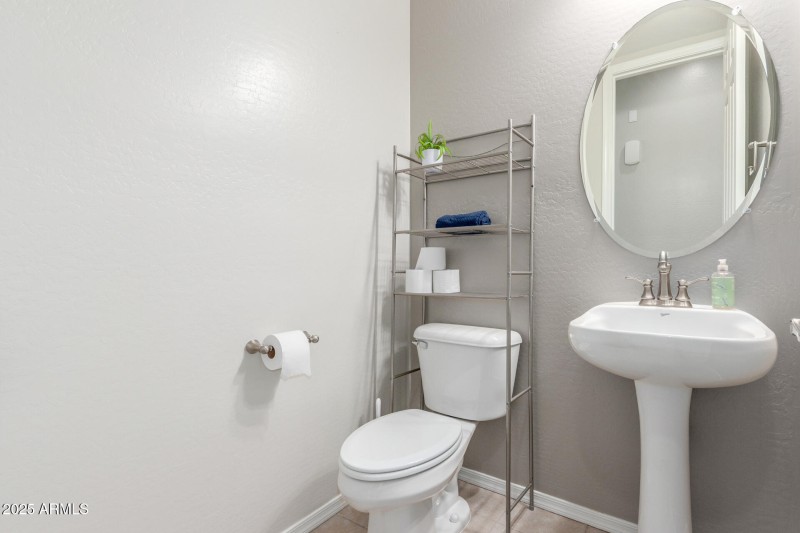 Guest Bathroom Poinsettia