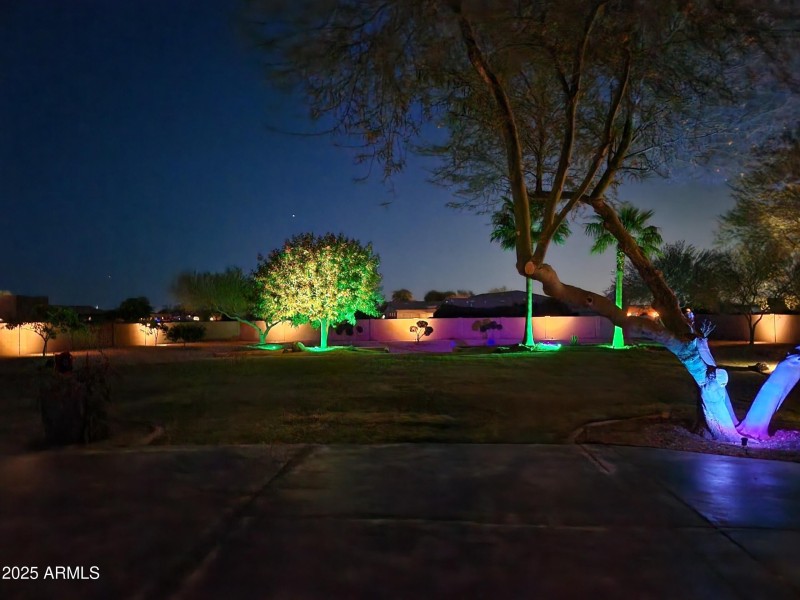 Back yard lights