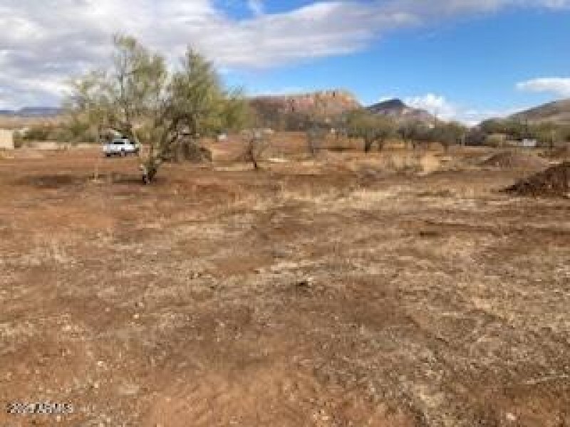Central lot 5