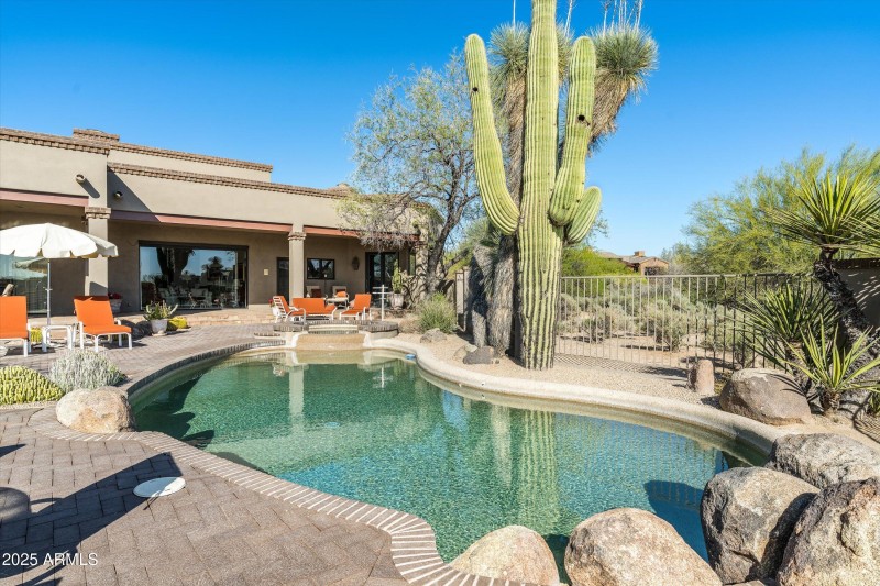 Spectacular Saguaro