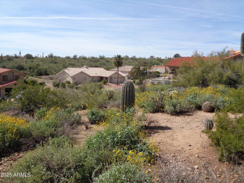 Build site