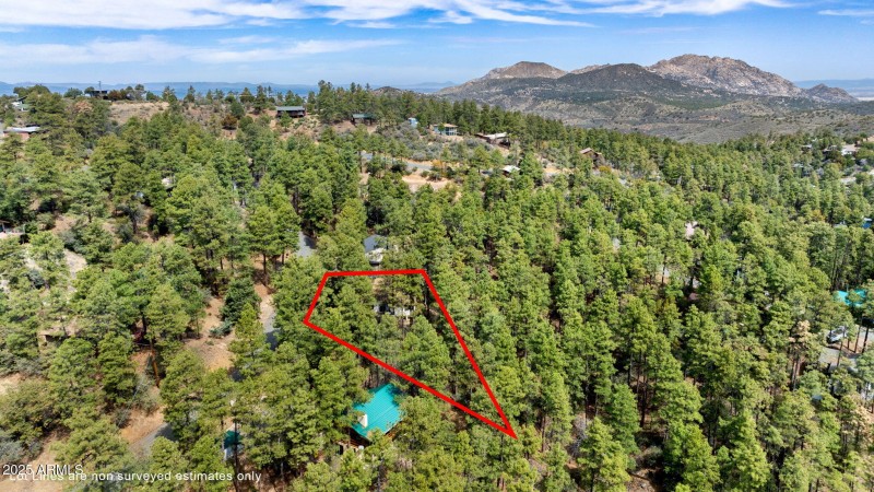 Aerial Lot Lines