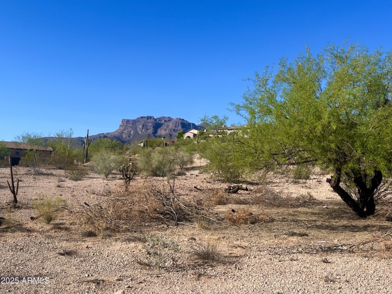 Petroglyph 57