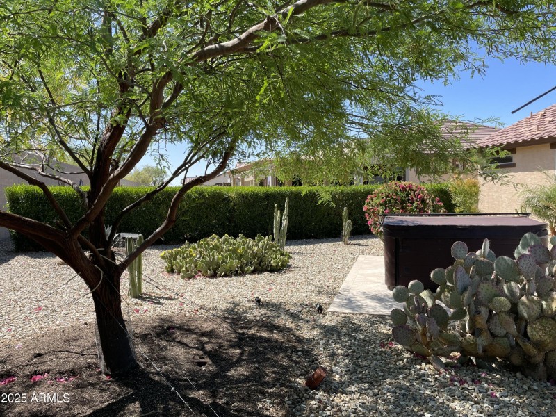 peaceful and tranquil