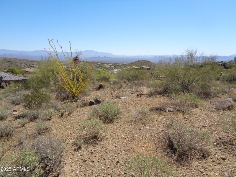 Landscape (1)