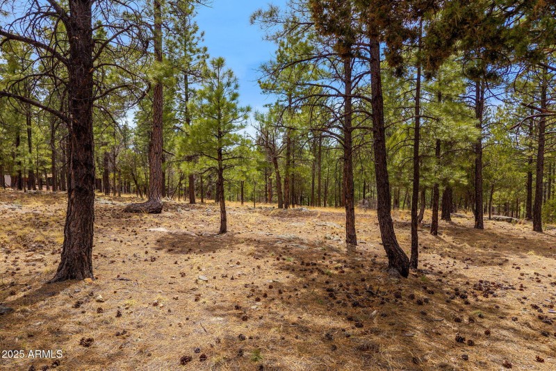 2526WellWaterRd-BlueRidgeAZ-1