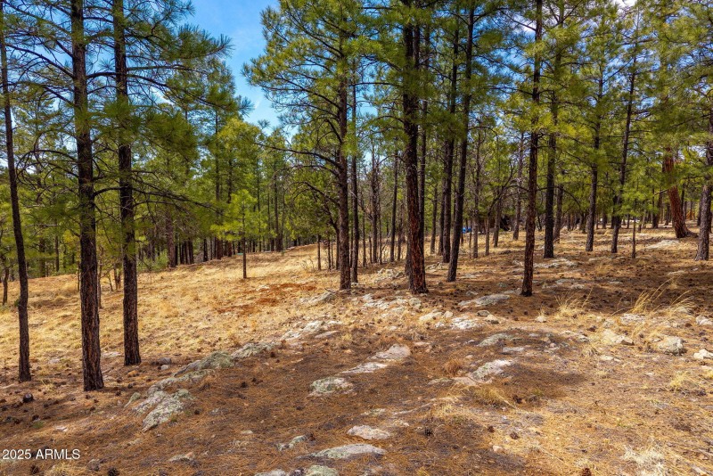 2526WellWaterRd-BlueRidgeAZ-2