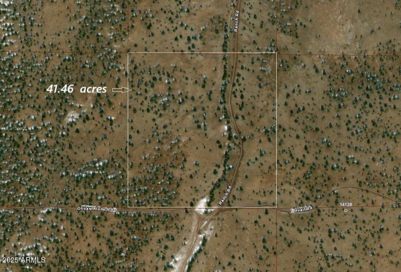 Aerial 1