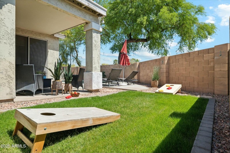 Backyard2