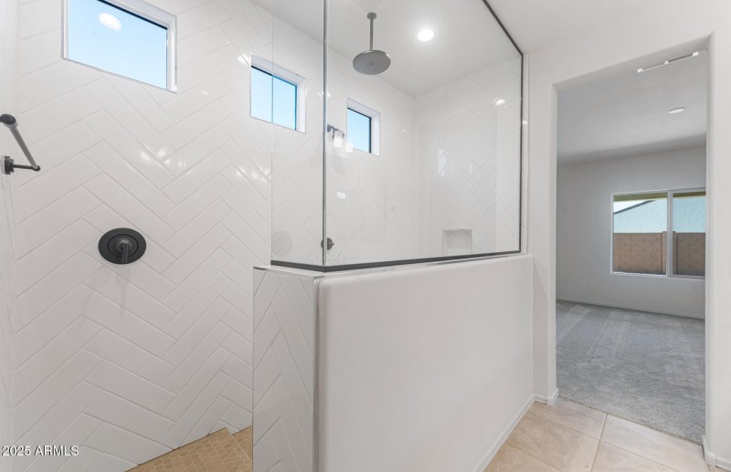 Owner's Bathroom