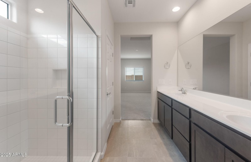Owner's Bathroom