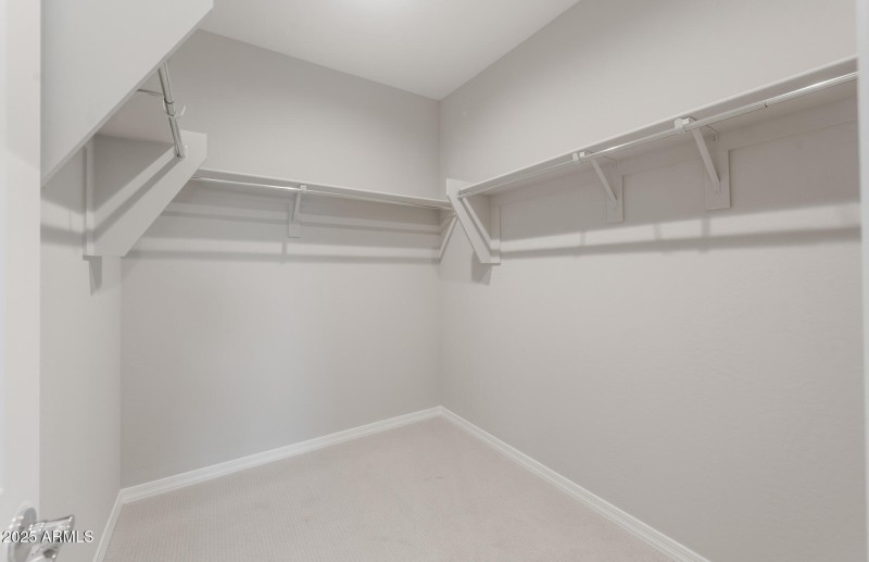 Owner's Closet