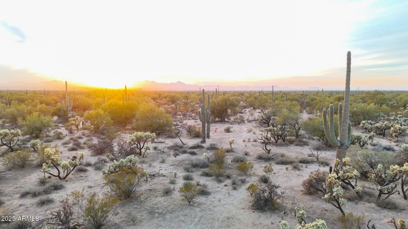dji_fly_20250122_174350_0143_17377341269