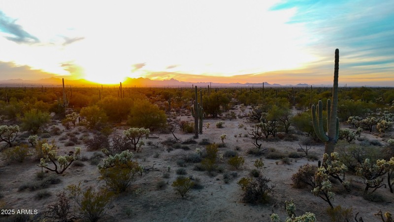 dji_fly_20250122_174354_0144_17377341266