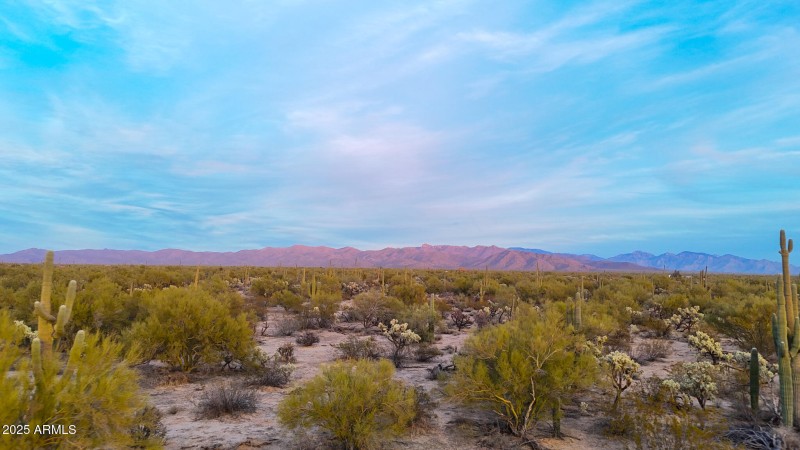 dji_fly_20250122_174528_0152_17377341243