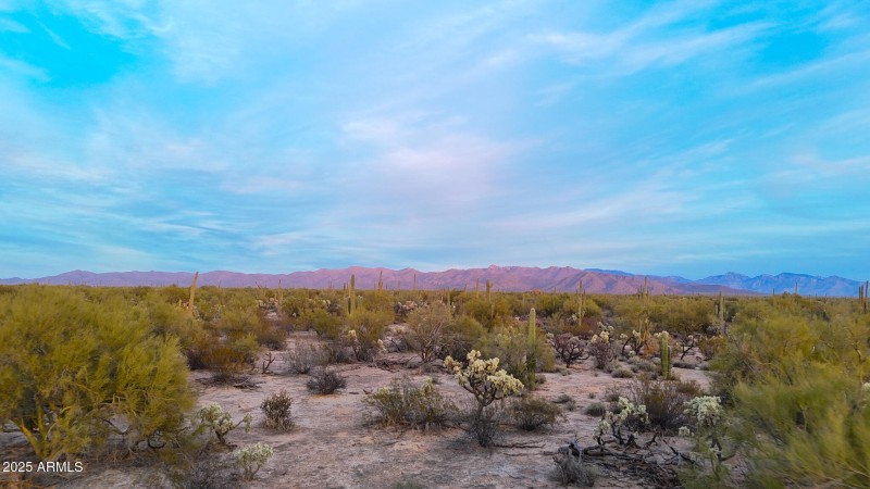 dji_fly_20250122_174530_0153_17377341241