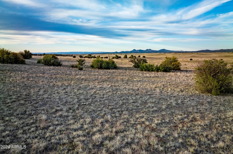 Long Meadow -34