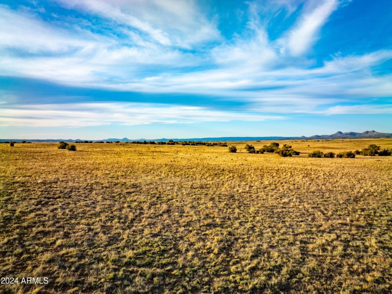 Long Meadow -18