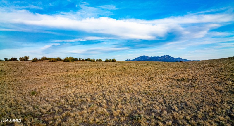 Long Meadow -35