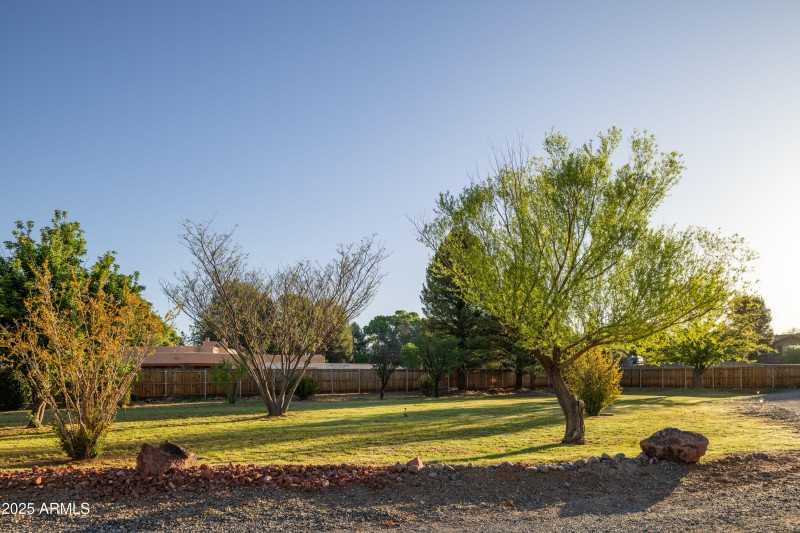 Lush Landscaping