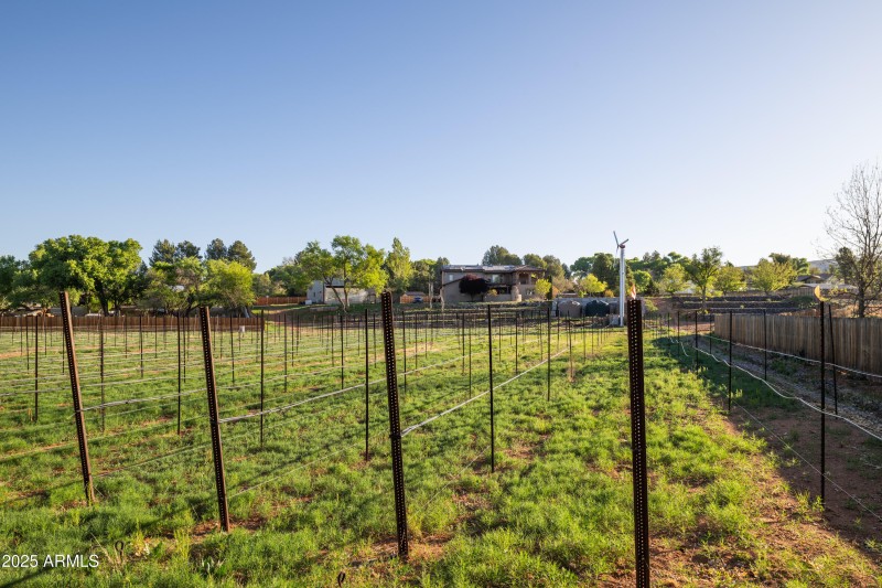 Vineyards