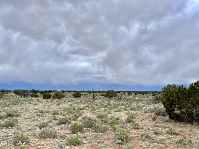 3998RedButte 13