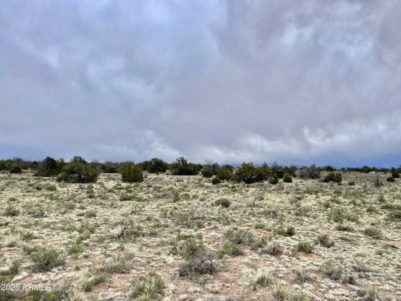 3998RedButte 14