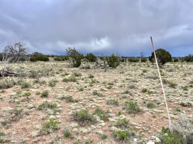3998RedButte 15