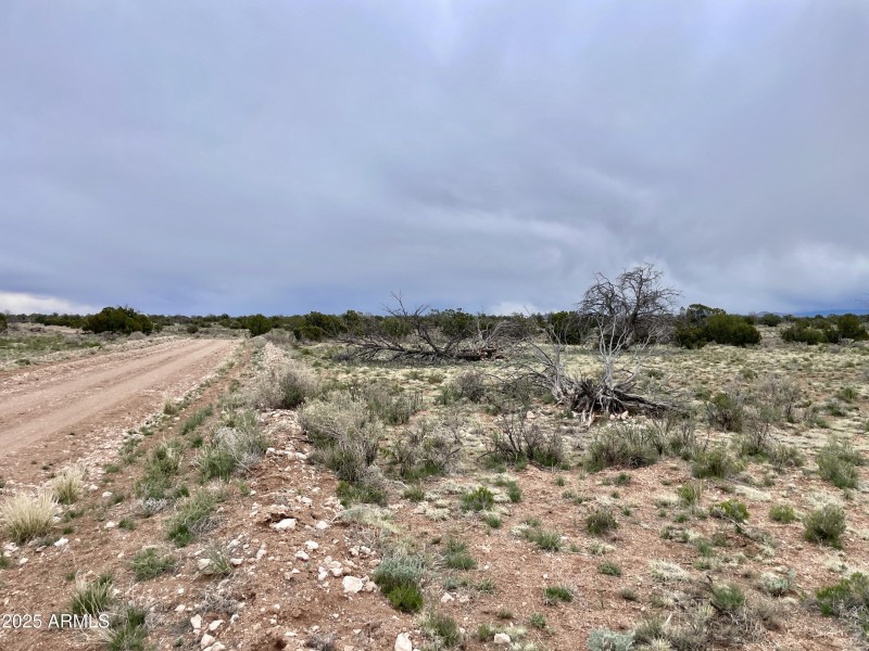 3998RedButte 16