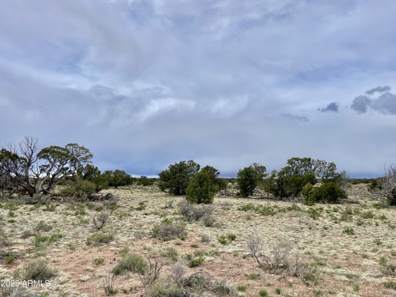 3998RedButte 21
