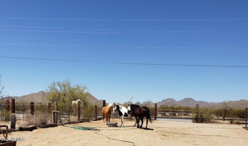 Horse Property