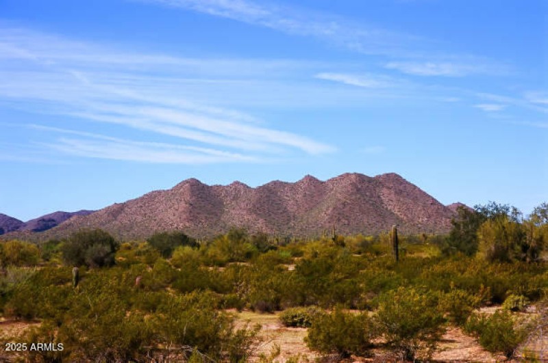 istockphoto-1555786150-612x612