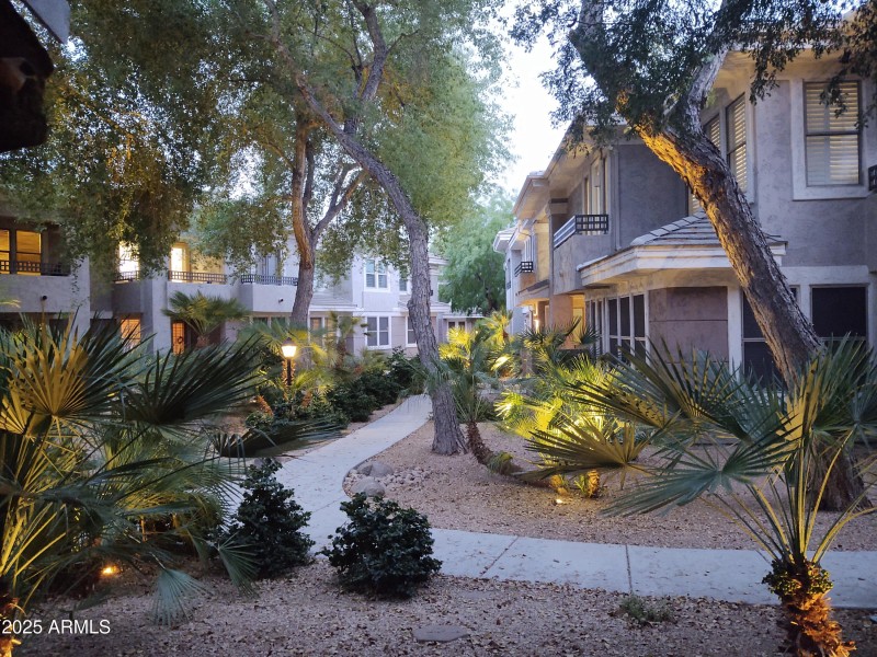 Tranquil Patio View
